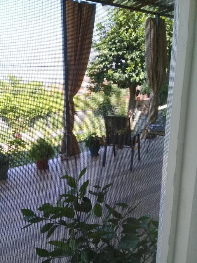 Apartment Giorgi In Sighnaghi Bagian luar foto