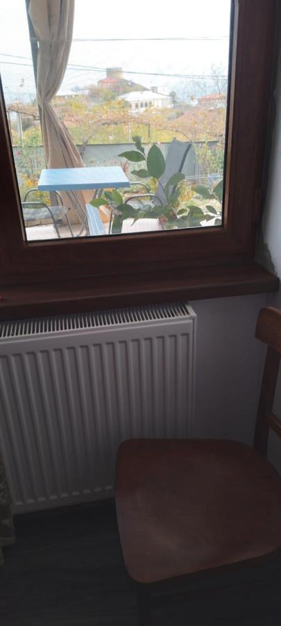 Apartment Giorgi In Sighnaghi Bagian luar foto