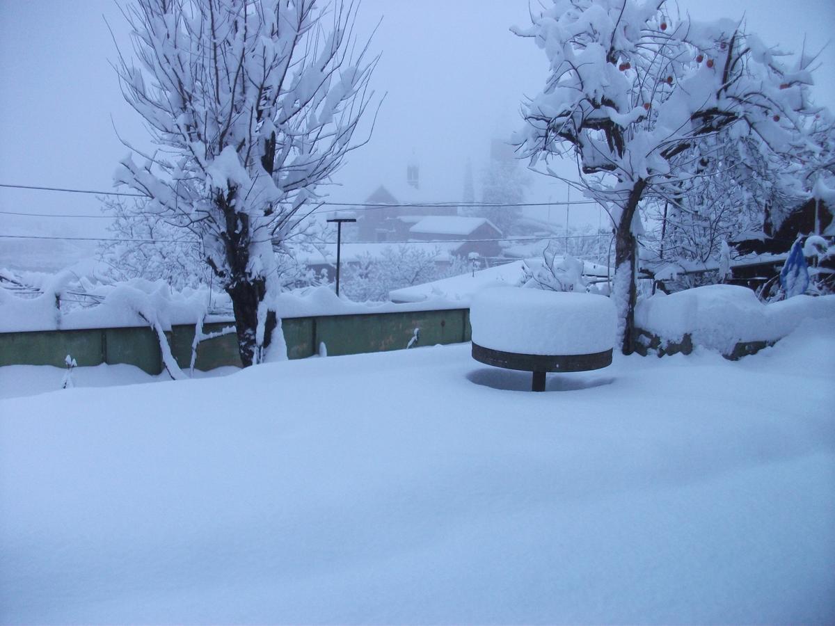 Apartment Giorgi In Sighnaghi Ruang foto