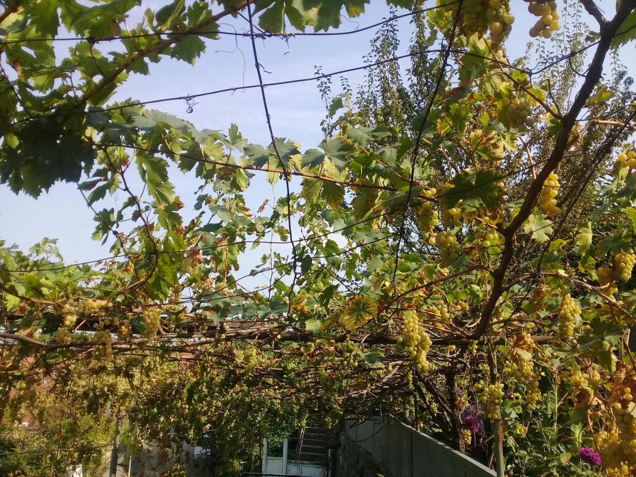 Apartment Giorgi In Sighnaghi Bagian luar foto