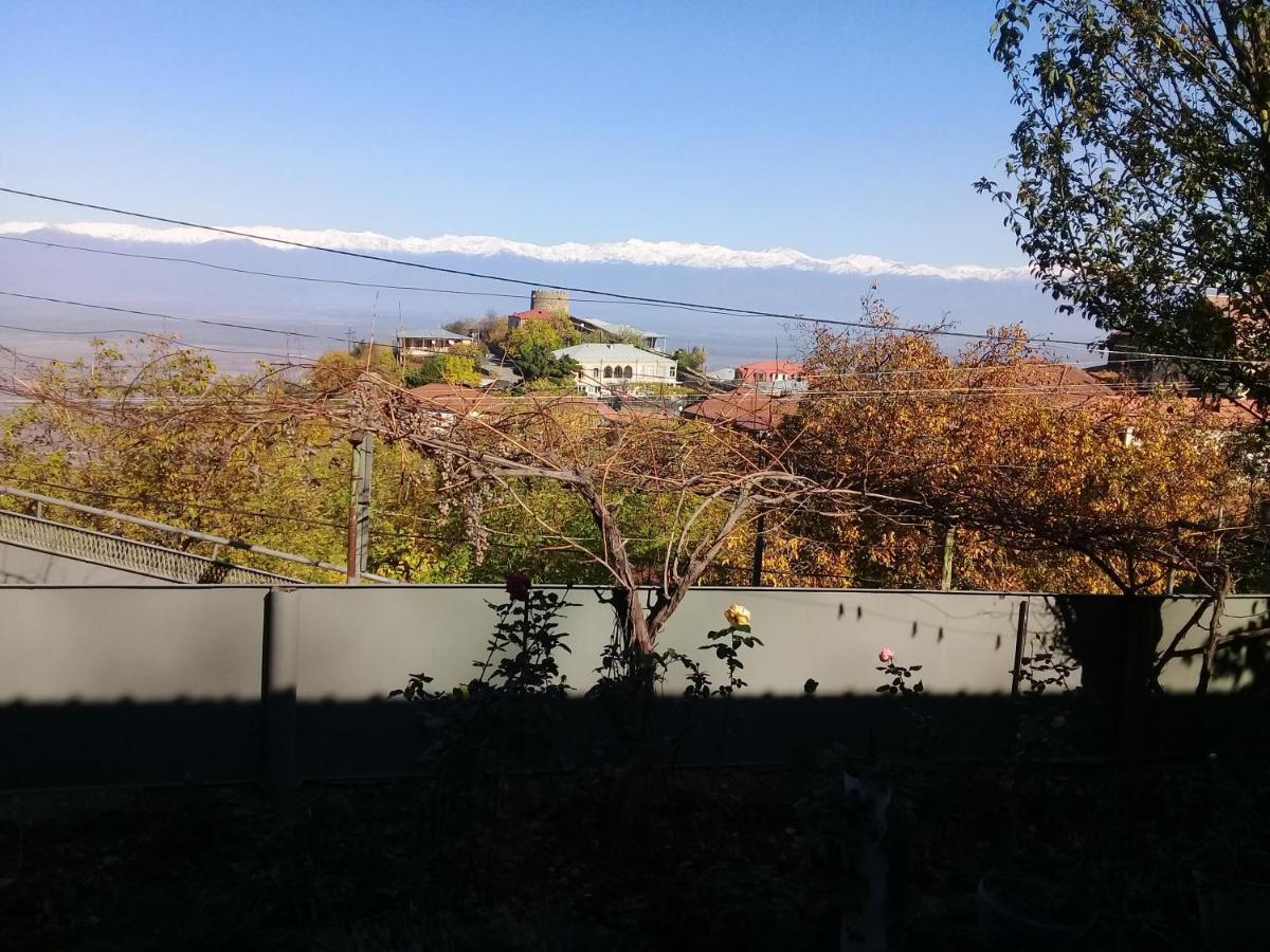 Apartment Giorgi In Sighnaghi Bagian luar foto